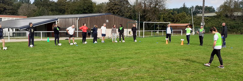 professeurs en formation